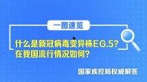 国内精品产品一三三区,品质生活新篇章